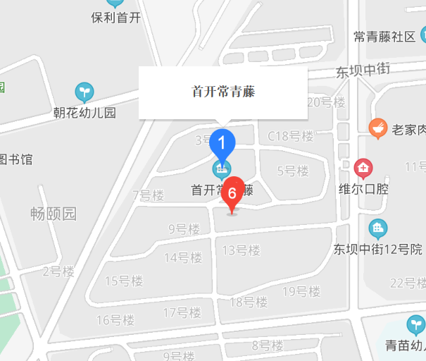 首開常青藤